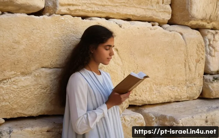 이스라엘의 유대인 디아스포라와 연결 관련 이미지 2